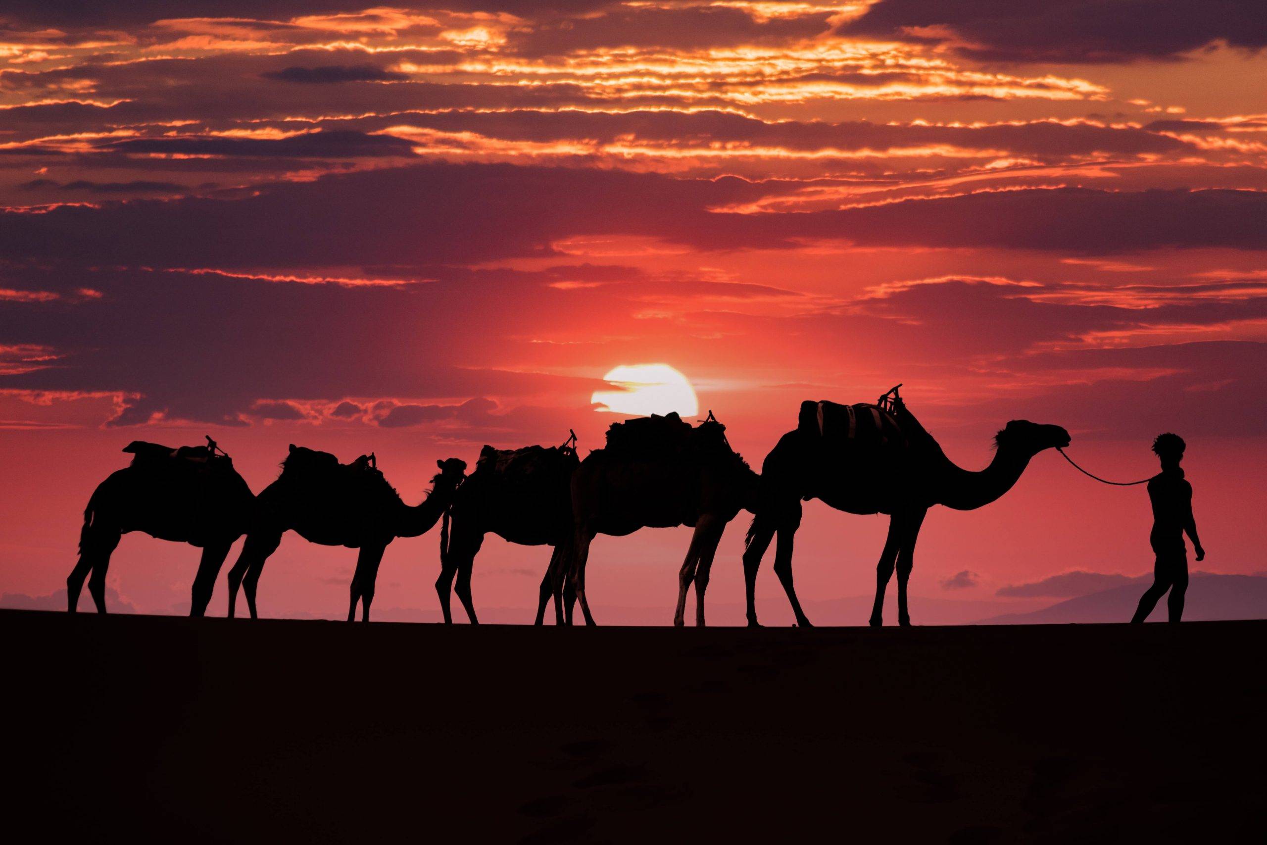 Tour de 2 días desde Ouarzazate al desierto de Merzouga