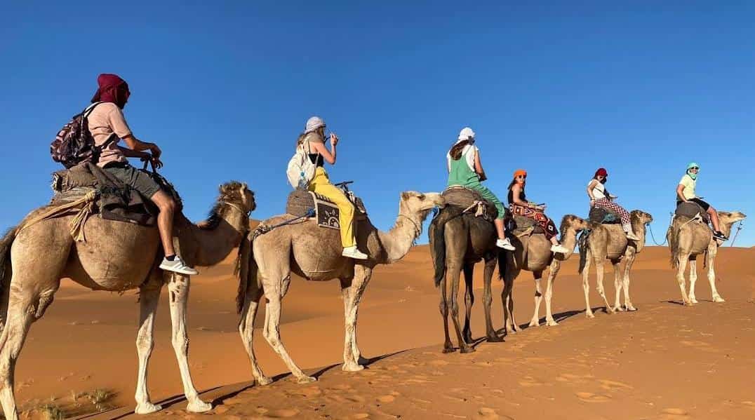 Camellos en Erg Chebbi