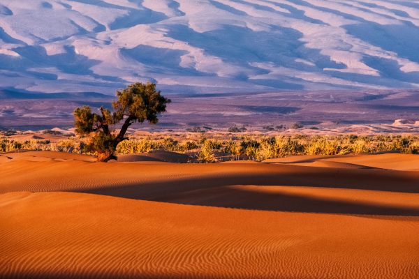 6 DAYS DESERT TOUR FROM MARRAKECH