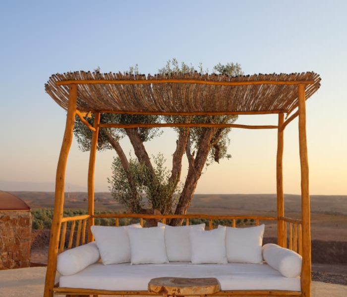 WhatsApp-Image-2024-12-23-at-11.47.40-AM-1