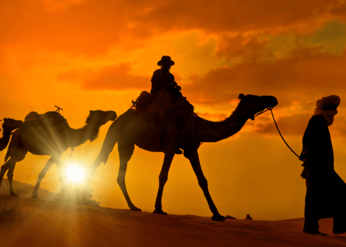 3 Days Tour From Errachidia To Marrakech